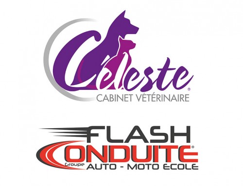 Logo vétérinaire et auto école