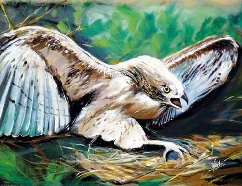 RAPACE AIGLE ACRYLIQUE