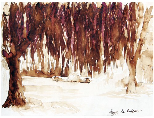 ARBRE BORDS EAU LAVIS ENCRE AQUARELLE